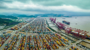 Inflation, high rates and war crimp global trade: WTO