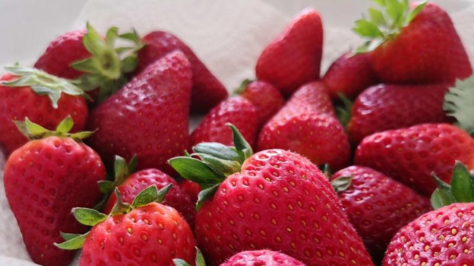 Messico, scontro con gli Usa sui dazi antidumping per le fragole