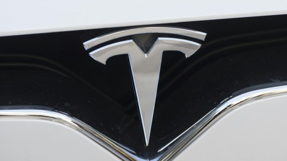 Umweltrechtliche Genehmigung f&uuml;r Tesla-Werk in Brandenburg steht offenbar kurz bevor