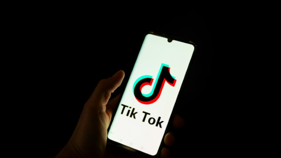 Selfies e m&uacute;sicas cativantes no TikTok, a estrat&eacute;gia da extrema direita francesa para os jovens