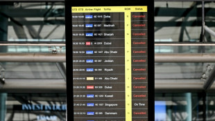 Iran: les perturbations a&eacute;riennes vont durer jusqu'&agrave; "plusieurs semaines", selon A&eacute;roports de Paris