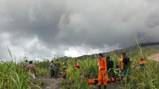 Socorristas de Indonesia buscan a los excursionistas muertos en erupci&oacute;n volc&aacute;nica