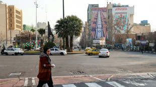 Trump says 'hopefully' no need for military action against Iran