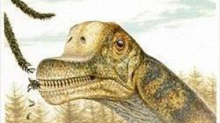 I baby dinosauri dal collo lungo erano prede facili nel Giurassico