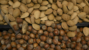 T&uuml;rkei stellt Ermittlungen gegen Ferrero wegen Haselnusspreisen ein 