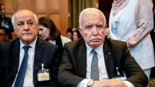 Corte Internacional de Justi&ccedil;a afirma que ocupa&ccedil;&atilde;o israelense dos territ&oacute;rios palestinos &eacute; 'ilegal'