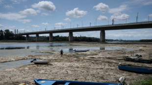 Mammoth bones found on parched bed of Danube in Bulgaria