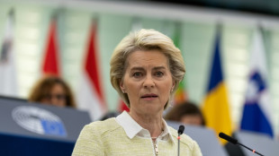 La UE propone un embargo progresivo del petr&oacute;leo ruso