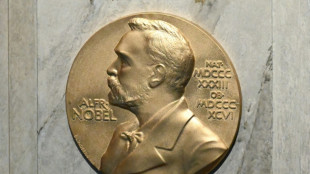 Nobel Prizes to illuminate bleak year for world peace