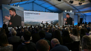 Ungarn will vorerst "kein Mitglied" der Gruppe der Karpaten-L&auml;nder sein
