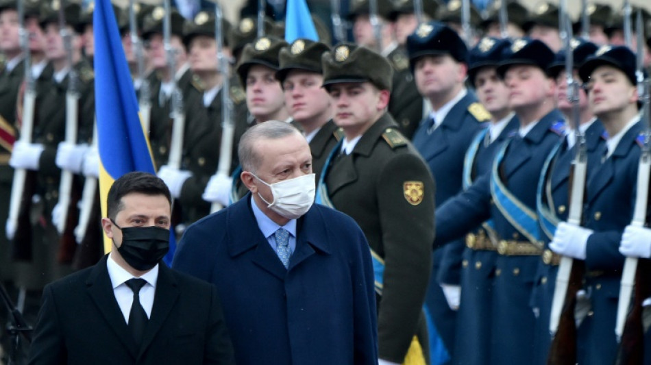 Erdogan bem&uuml;ht sich in Kiew um Vermittlung im Ukraine-Konflikt