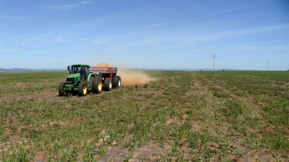 Polen erwartet deutliche Zugest&auml;ndnisse der EU-Kommission an Landwirte