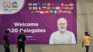 G20-Mitglieder vor Gipfel in Indien zu Ukraine-Krieg gespalten