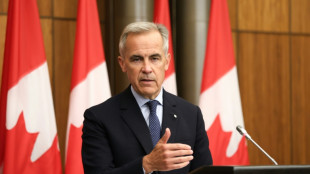 Canadá tiene intención de reconocer el Estado palestino en Asamblea General de ONU