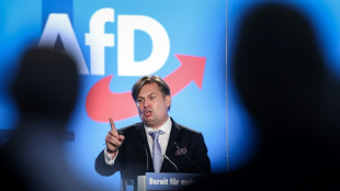 Trotz Spionage-Aff&auml;re um Mitarbeiter: Krah bleibt AfD-Spitzenkandidat