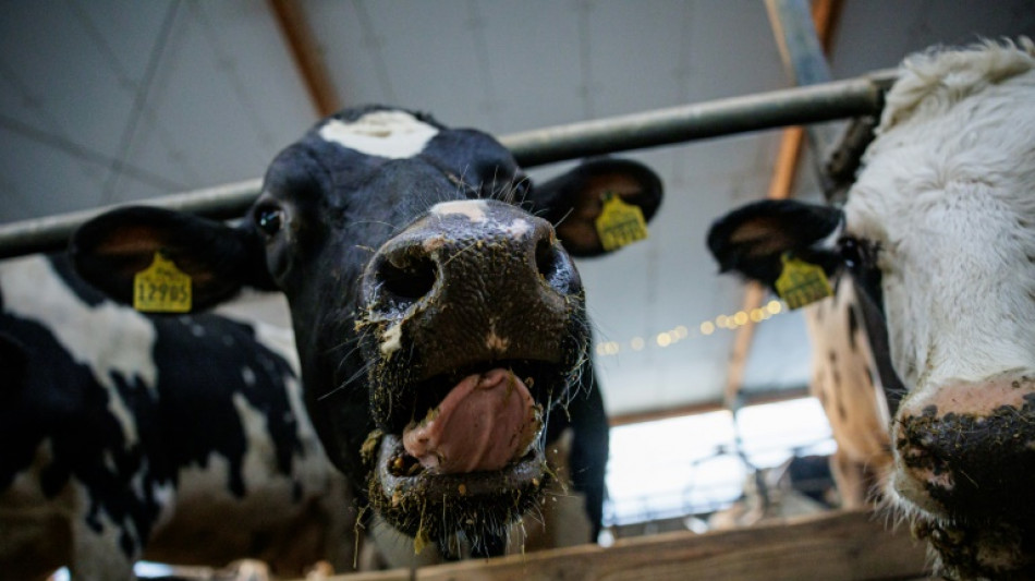 Erzeugerpreise f&uuml;r landwirtschaftliche Produkte steigen auch im Juni