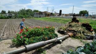 Ucrania y Rusia se aprestan a sellar acuerdo con la ONU y Turqu&iacute;a para exportar granos