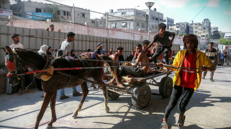 Defesa Civil de Gaza reporta 73 mortes por disparos israelenses contra palestinos que esperavam ajuda