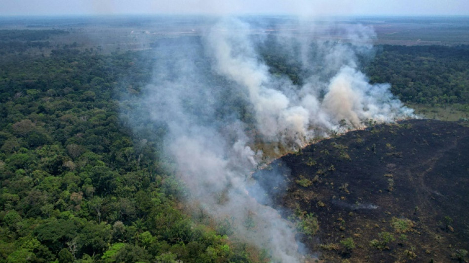 Incendios en Amazonía brasileña baten récord para un primer semestre en 20 años