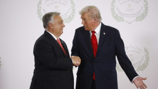 Trump empfängt Ungarns Regierungschef Orban