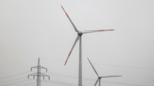 Monopolkommission für flexiblere und regional unterschiedlichere Strompreise