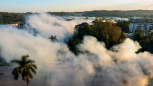 Mueren más de 20 niños y adolescentes en Cuba por dengue y chikunguña