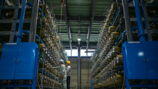 Waste water to clean energy: Japanese engineers harness the power of osmosis