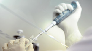 In Usa 'il neonato più vecchio', embrione congelato nel 1994