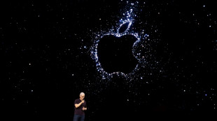 Apple n'a jamais eu autant d'appareils en service mais le dollar fort p&egrave;se sur ses revenus
