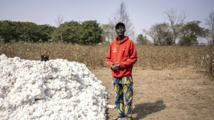 De l&rsquo;or blanc aux t-shirts: l&rsquo;ambitieuse transformation du coton b&eacute;ninois