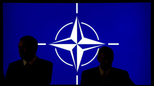 Fonti Nato, 'il piano Trump per l'Ucraina non &egrave; pronto'