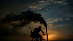 Principal termoel&eacute;ctrica de Cuba sufre parada "abrupta", cuando persisten apagones