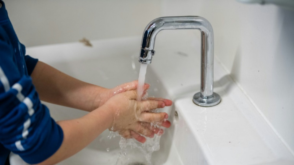 Studie: Bakterielle Infektionen zweith&auml;ufigste Todesursache weltweit