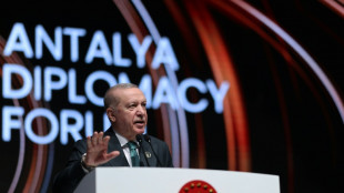 Un forum diplomatique en Turquie pour "r&eacute;duire les tensions" au Moyen-Orient