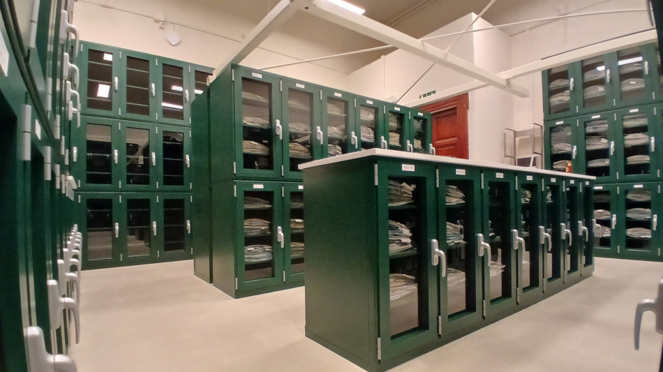 L'Universit&agrave; di Pisa ha digitalizzato 357.000 campioni dell'erbario