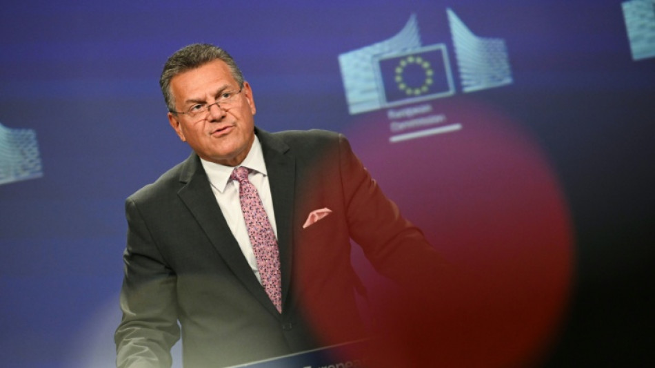 EU-Handelskommissar Sefcovic trifft chinesischen Handelsminister Wang