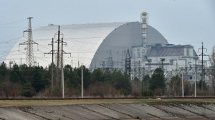 La central ucraniana de Chern&oacute;bil vuelve a quedarse sin electricidad