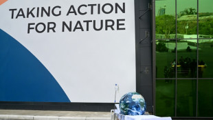 Deal still eludes nations on final day of UN nature talks