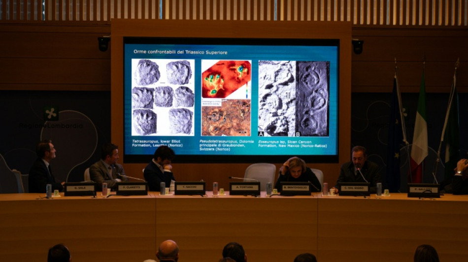 'Immense' collection of dinosaur footprints found in Italy