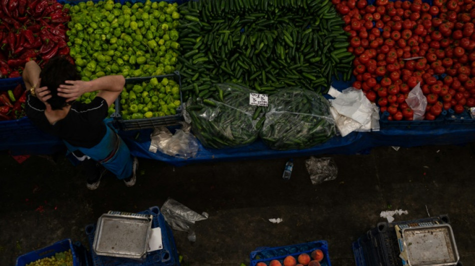 T&uuml;rkei will mit neuem Sparprogramm ausufernde Inflation bek&auml;mpfen