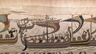 Nouvelles r&eacute;v&eacute;lations sur la bataille d'Hastings, d&eacute;faite d'Harold face &agrave; Guillaume le Conqu&eacute;rant