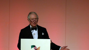 Polic&iacute;a brit&aacute;nica abre investigaci&oacute;n sobre fundaci&oacute;n del pr&iacute;ncipe Carlos