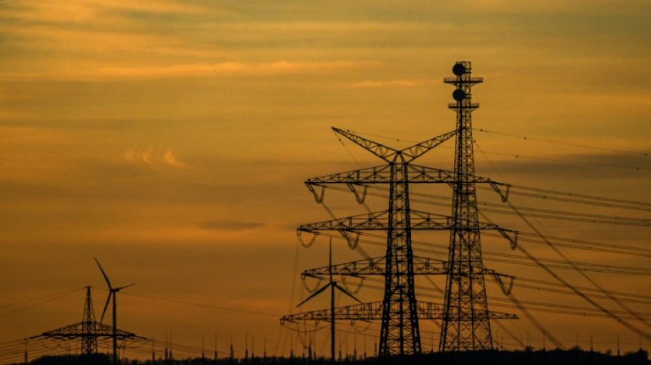 Anschl&auml;ge auf Umspannwerke: Polizei r&uuml;ckt zu Einsatz nahe Hambacher Forst aus