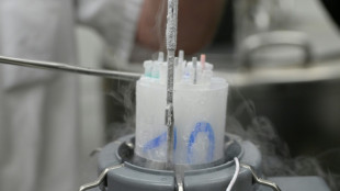 Près de 200 enfants conçus avec un donneur danois porteur d'un risque de cancer