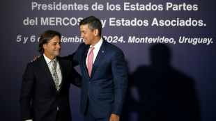 El acuerdo UE-Mercosur beneficiar&aacute; "principalmente" a Europa, asegura el presidente de Paraguay a AFP 