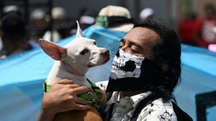 Salvadore&ntilde;os protestan contra las pol&iacute;ticas de Bukele en la marcha del 1 de mayo