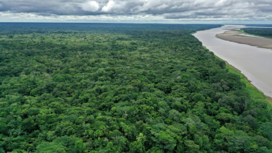 L'Amazone est-il plus long que le Nil ? Une exp&eacute;dition pour trancher un vieux d&eacute;bat