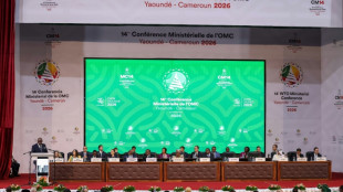 Les n&eacute;gociations sur la r&eacute;forme de l'OMC entrent dans le vif du sujet