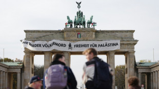 Des militants propalestiniens se hissent sur la Porte de Brandebourg à Berlin