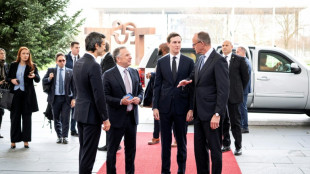 Zelensky se re&uacute;ne com enviados dos EUA em Berlim para negociar fim do conflito